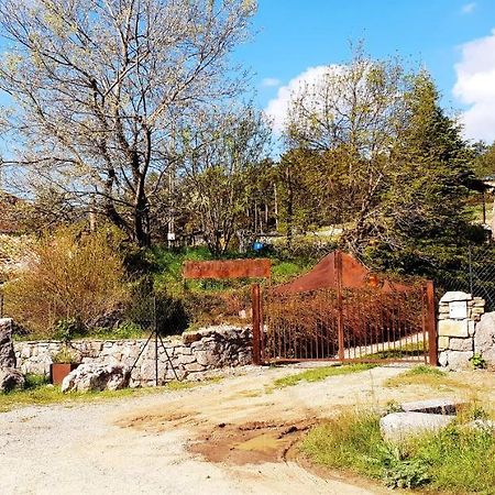 Villa Bastide Napoleon Séranon Exterior foto